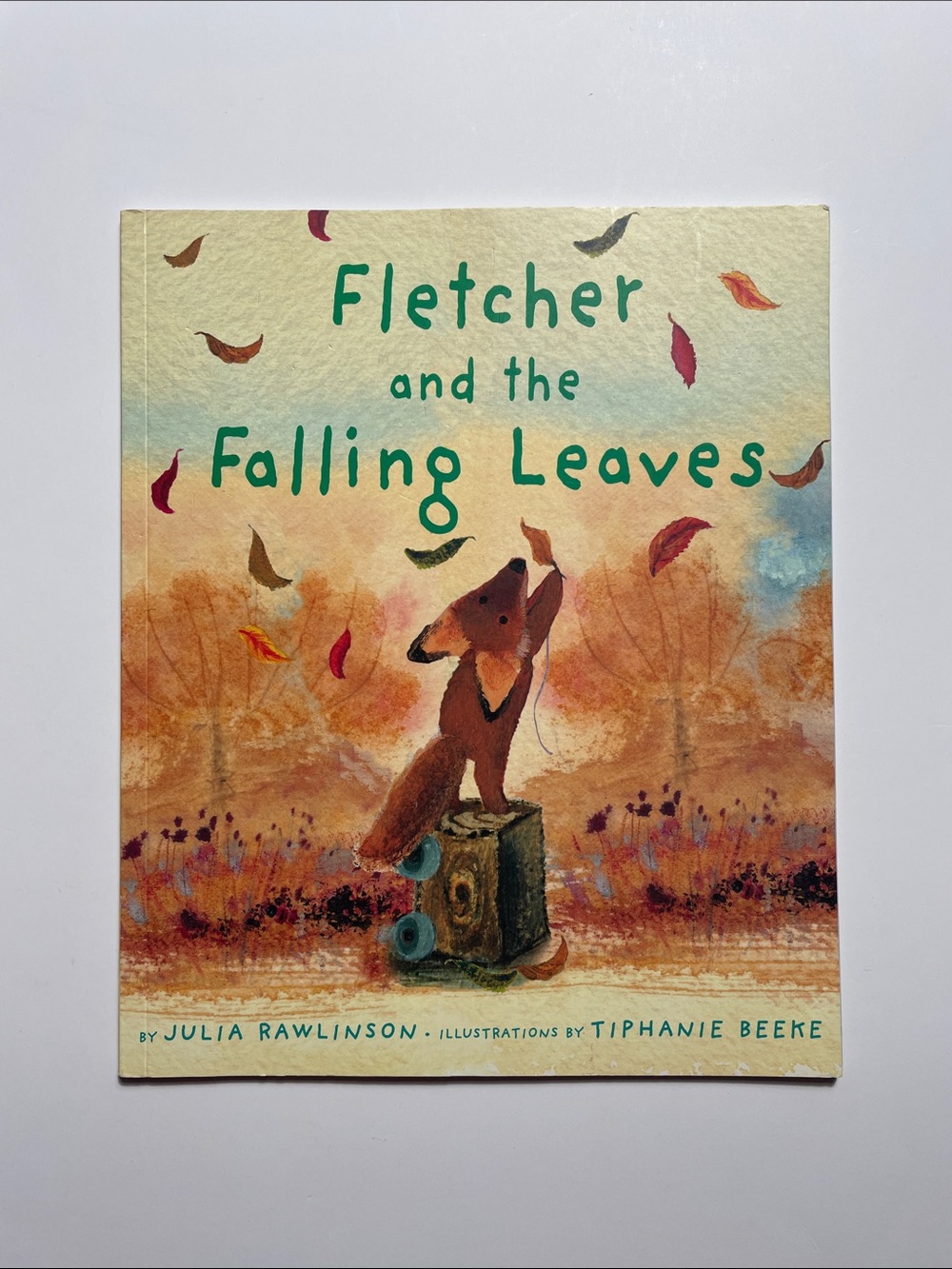 Fletcher and the Falling Leaves | Paperback Kids Picture Book